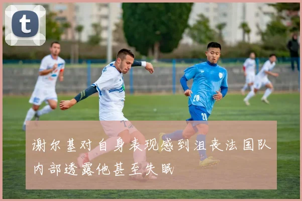 谢尔基对自身表现感到沮丧法国队内部透露他甚至失眠